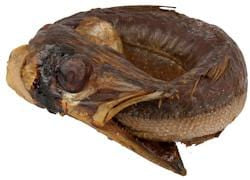 Baracuda Ring Smoked 1 kg