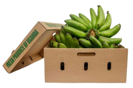Matoke Uganda 10 kg - Africa Products Shop