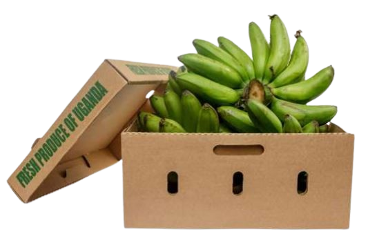 Matoke Uganda 10 kg - Africa Products Shop